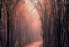 尊龙凯时：成都混合团体世界杯会徽、吉祥物等公布国际乒联.