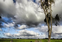 近8成控球率却输球!西队长：垃圾!对手踢的不是足球.