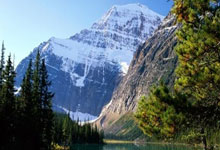 特瓦斯讽刺皇马：NBA球员每隔24小时就比赛，他们一定都死了.