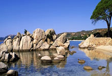 尊龙凯时：国王4人20+大胜马刺 步行者力克公牛止4连败.